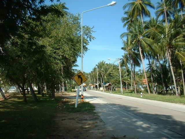Straße im Süden von Koh Samui mit Palmen am Rand